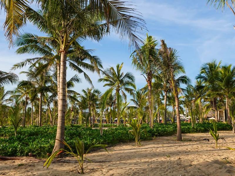 Bliss Hoi An Beach Resort And Wellness