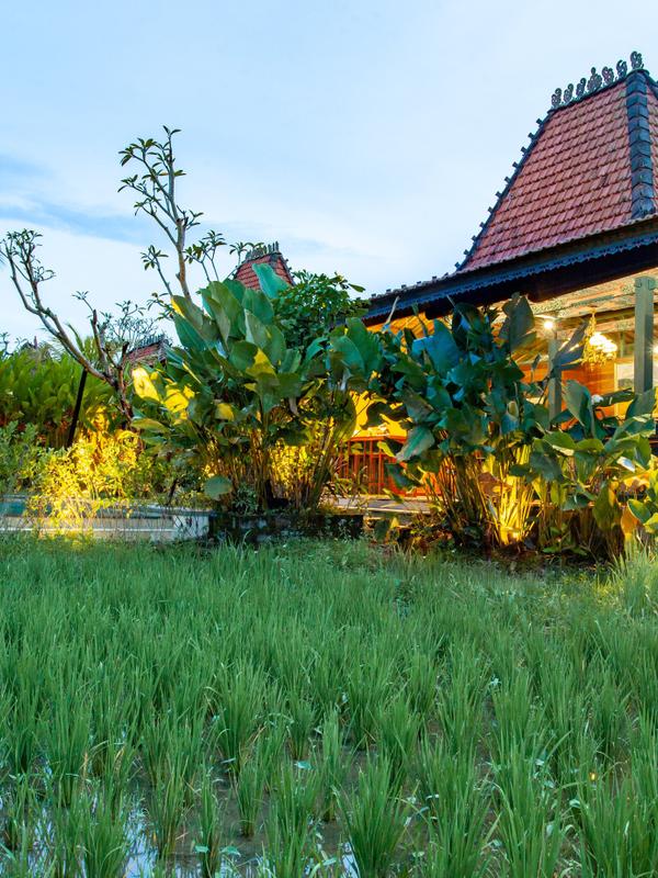Arya Arkananta Resort and Spa