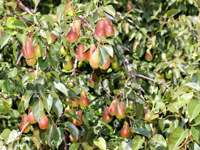 Дом Архитектора Кисловодск