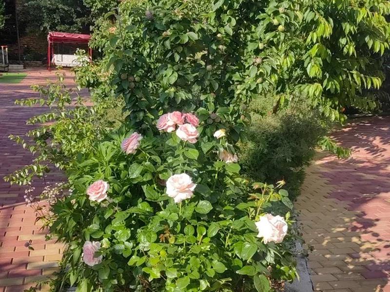 Дом Архитектора Кисловодск