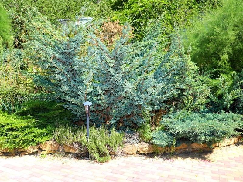 Дом Архитектора Кисловодск