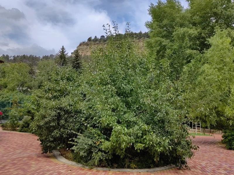 Дом Архитектора Кисловодск