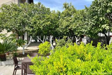 Отель Мини-отель Стрелец Абхазия, Гагра, фото 19