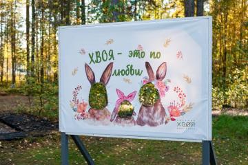 Отель Хвоя парк-отель Россия, Карелия, фото 2