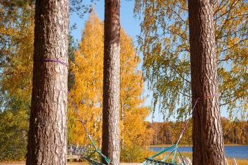 Отель Хвоя парк-отель Россия, Карелия, фото 4