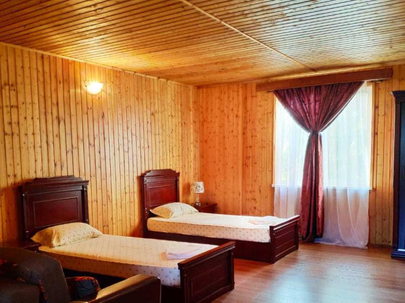 Дени Дельмар