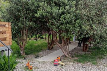 Отель Artel Guest House Абхазия, Новый Афон, фото 36