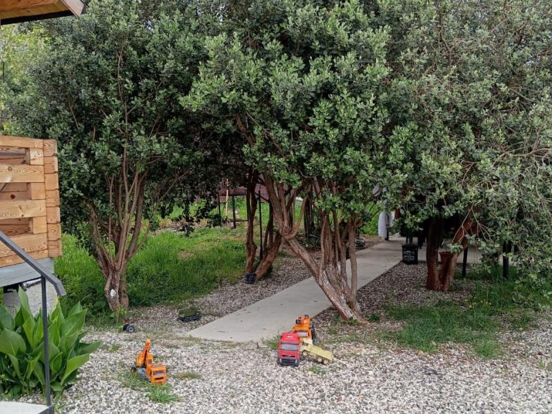 Artel Guest House