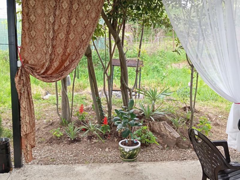 Artel Guest House