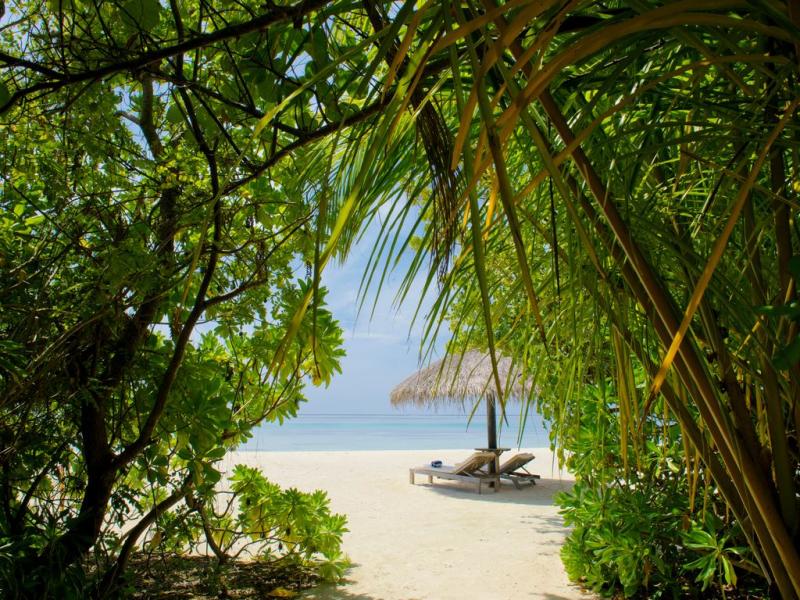 Sun Siyam Olhuveli Romance (TUI Blue Olhuveli)