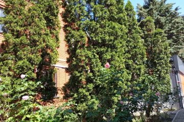 Отель Гостиница Аквариум Россия, Лазаревское, фото 2