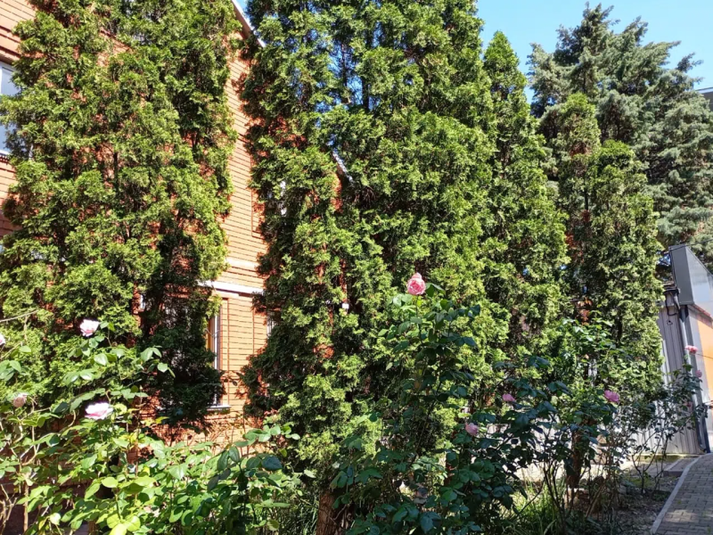 Гостиница Аквариум