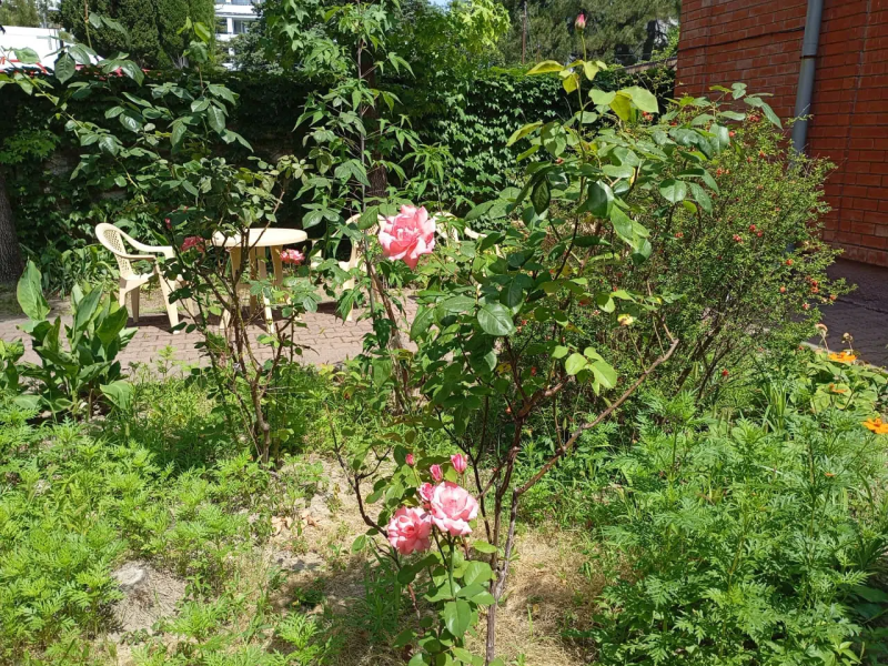 Гостиница Аквариум