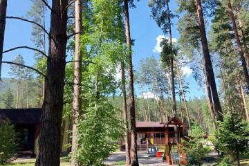 Отель Wood Park Россия, Алтайский край, фото 11
