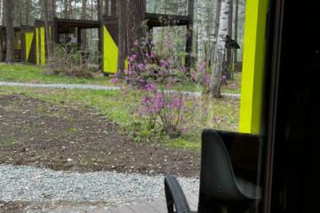 Отель Wood Park Россия, Алтайский край, фото 40