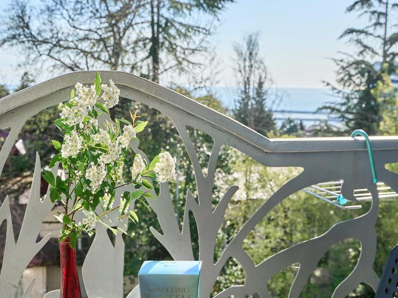 Амбассадор (ул.Кубанская)