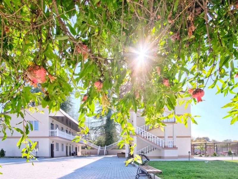 Парк-отель Лето