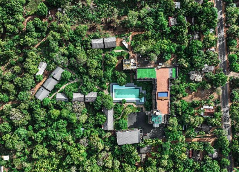 Covanro Sigiriya