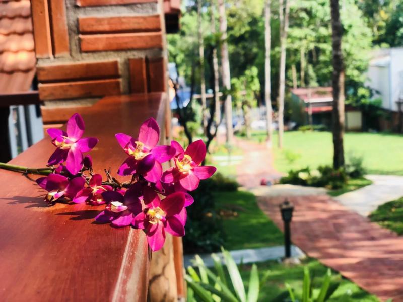 Doi Sao Phu Quoc