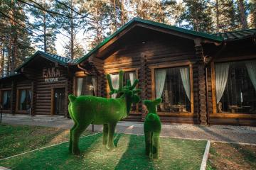 Отель Gelion Park Hotel Россия, Алтайский край, фото 12