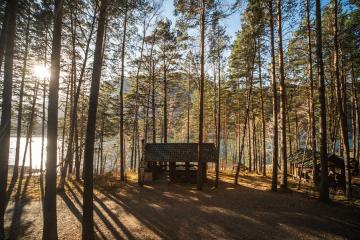 Отель Gelion Park Hotel Россия, Алтайский край, фото 16