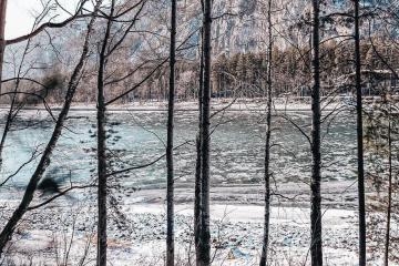 Отель Gelion Park Hotel Россия, Алтайский край, фото 33