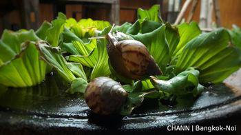 Chann Bangkok-Noi