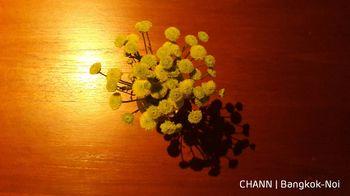 Chann Bangkok-Noi