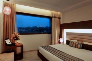 Отель Hotel Alleviate Индия, Агра, фото 2