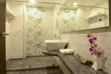 Отель Hotel Alleviate Индия, Агра, фото 7