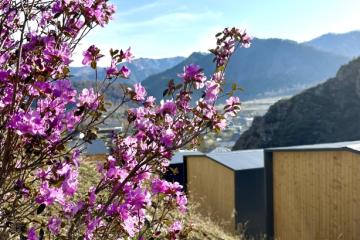 Отель Altaypic парк-отель Россия, Алтайский край, фото 1