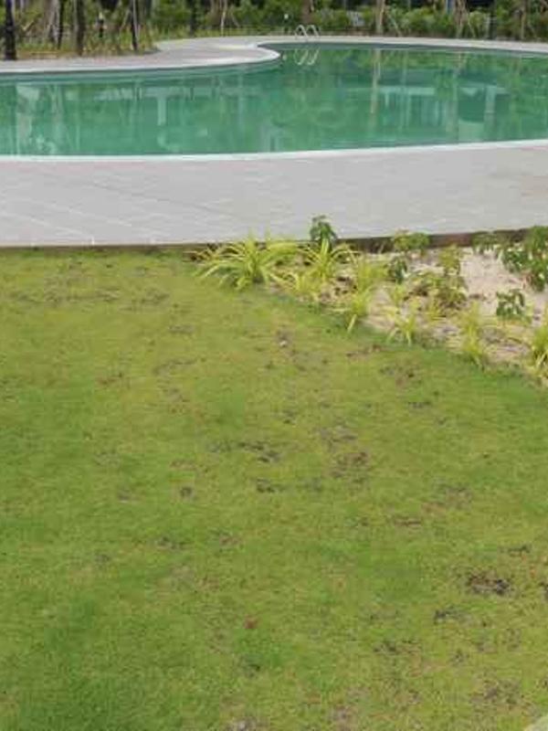 Green Tree Hotel Phu Quoc