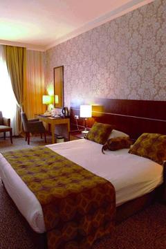 Отель The Green Park Hotel Bostanci Турция, Стамбул, фото 14