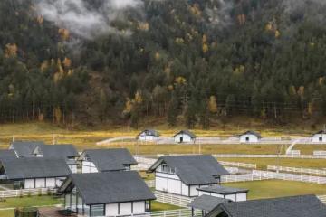 Отель Альпинс residence Россия, Республика Алтай, фото 8