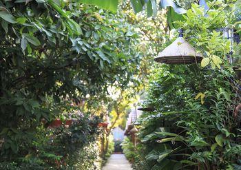 Cosy Bungalow Phu Quoc