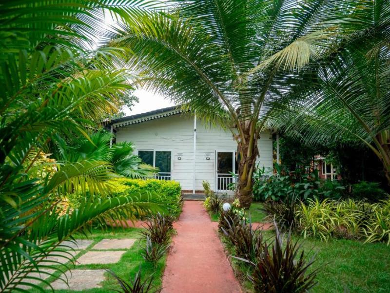 White Truffle Resort