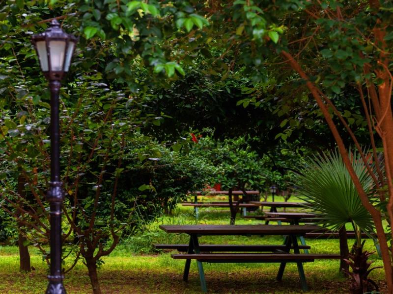 Pirate's Park Resort