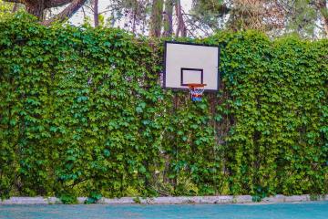 Отель Pirate's Park Resort Турция, Текирова, фото 41