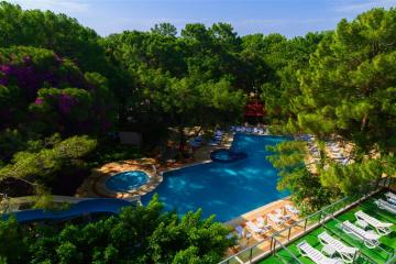 Отель Pirate's Park Resort Турция, Текирова, фото 10