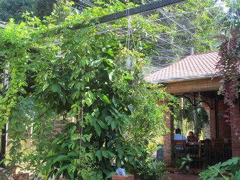 Gia Thanh Guest House