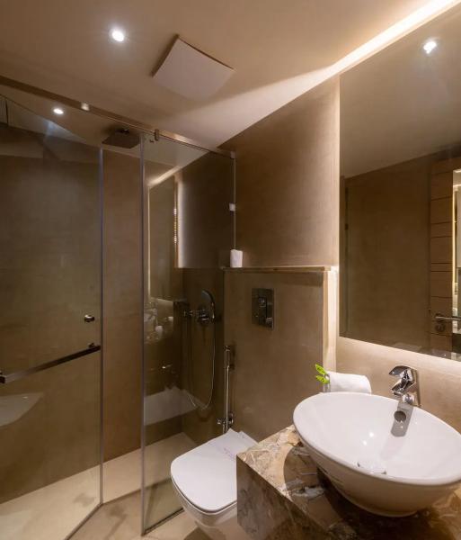 Hotel Saket 27