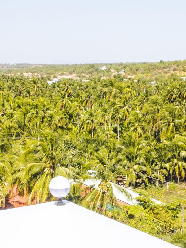 Mui Ne Beach Hotel