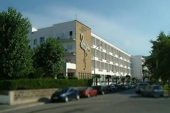 Отель Checkin Flamingo Испания, Коста Брава, фото 19