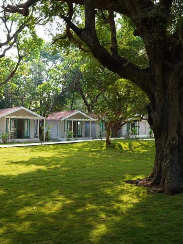 Blu Resorts Vagator Goa