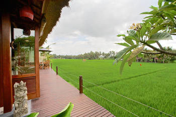 Отель Bali Harmony Villas Индонезия, о Бали, фото 134