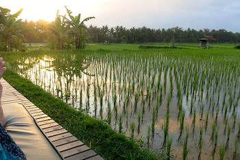 Bali Harmony Villas