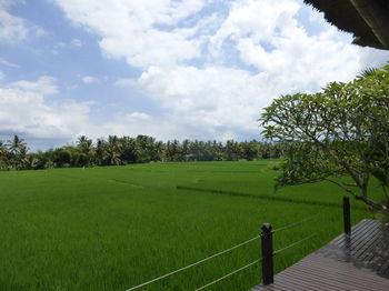 Bali Harmony Villas