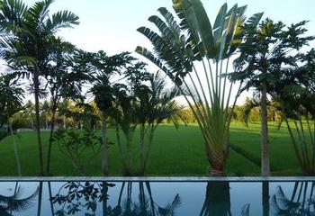 Отель Bali Harmony Villas Индонезия, о Бали, фото 150