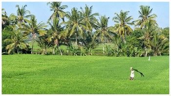 Отель Bali Harmony Villas Индонезия, о Бали, фото 152
