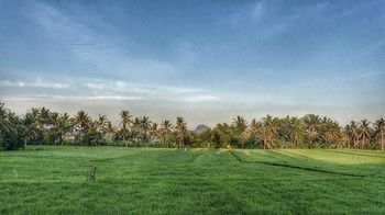 Отель Bali Harmony Villas Индонезия, о Бали, фото 153